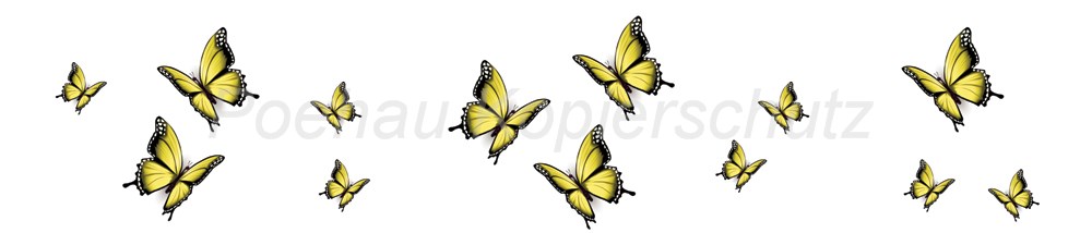 Bild 1 von AvS11590TL6558E Schmetterling gelb schwarz
