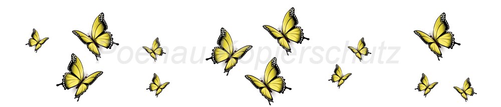 Bild 1 von AvS11590TL6558E Schmetterling gelb schwarz  / (Material) Hartschaum-Rückwand / (Schutzschicht) UV Hartlack glänzend / (Langzeitgarantie) ohne Langzeitgarantie