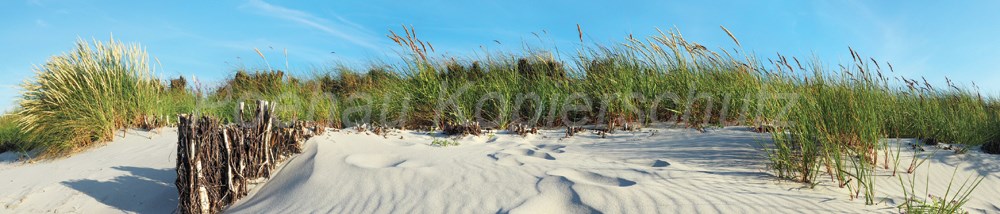 Bild 1 von AvS8921IL3883 Strand Sand Gras  / (Material) Hartschaum-Rückwand / (Schutzschicht) UV Hartlack matt / (Langzeitgarantie) ohne Langzeitgarantie