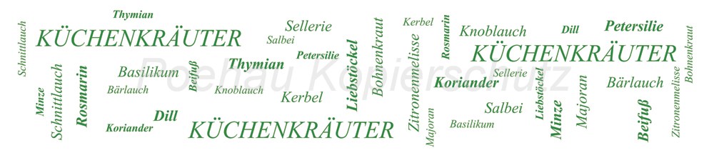 Bild 1 von AvS170703VL0004 Küchenkräuter  / (Material) Hartschaum-Rückwand / (Schutzschicht) UV Hartlack glänzend mit Abperleffekt / (Langzeitgarantie) ohne Langzeitgarantie