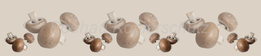 Bild 1 von AvS200808VL0002 Pilze  / (Material) Hartschaum-Rückwand / (Schutzschicht) UV Hartlack glänzend mit Abperleffekt / (Langzeitgarantie) ohne Langzeitgarantie