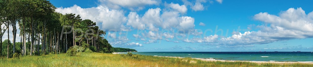 Bild 1 von AvS8716IL6286 Strand Küste Meer  / (Material) Hartschaum-Rückwand / (Schutzschicht) UV Hartlack matt / (Langzeitgarantie) ohne Langzeitgarantie