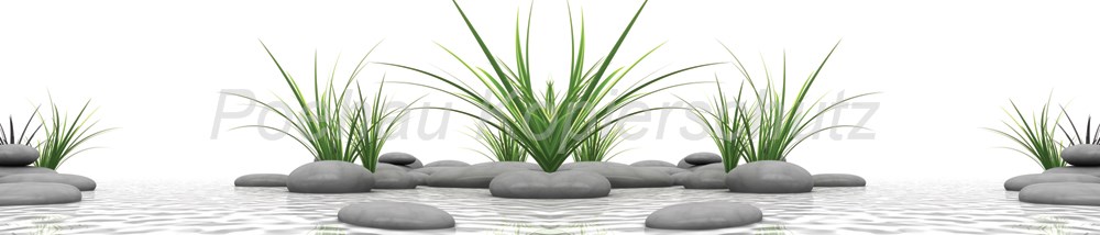 Bild 1 von AvS796VL6861B Zen Steine Gras  / (Material) Hartschaum-Rückwand / (Schutzschicht) UV Hartlack glänzend / (Langzeitgarantie) ohne Langzeitgarantie