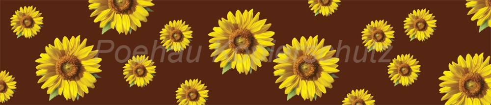 Bild 1 von AvS9547TL7686C Sonnenblumen  / (Material) Hartschaum-Rückwand / (Schutzschicht) UV Hartlack matt / (Langzeitgarantie) mit Langzeitgarantie* 5 Jahre