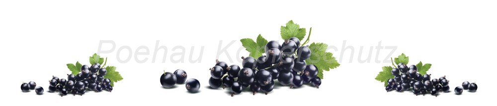 Bild 1 von AvS9986IL8225B Johannisbeere schwarz  / (Material) Hartschaum-Rückwand / (Schutzschicht) UV Hartlack matt / (Langzeitgarantie) ohne Langzeitgarantie