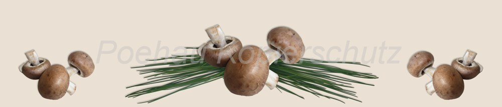 Bild 1 von AvS200808VL0001 Pilze Schnittlauch  / (Material) Hartschaum-Rückwand / (Schutzschicht) kein Schutzlack / (Langzeitgarantie) mit Langzeitgarantie* 3 Jahre