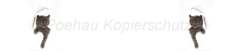Bild 1 von AvS5362IL2066 Katzenkind  / (Material) Aluverbund-Rückwand / (Schutzschicht) UV Hartlack matt / (Langzeitgarantie) mit Langzeitgarantie* 5 Jahre