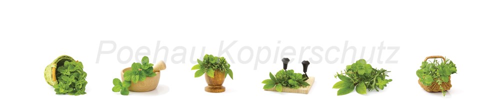Bild 1 von AvS10005IL2590A Kräuter Korb Schale Brett  / (Material) Acryl-Rückwand / (Schutzschicht) für Wandverklebung / (Langzeitgarantie) ohne Langzeitgarantie*