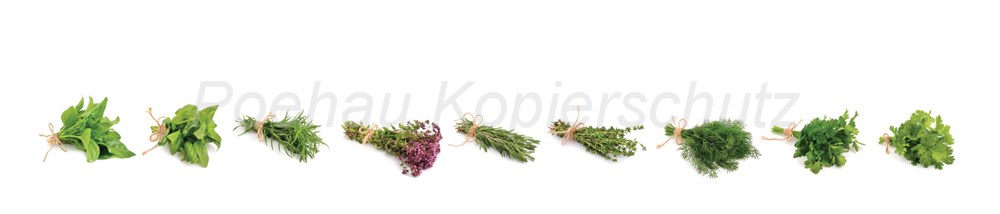 Bild 1 von AvS8631IL4501C Kräuter  / (Material) Aluverbund-Rückwand / (Schutzschicht) UV Hartlack glänzend mit Abperleffekt / (Langzeitgarantie) ohne Langzeitgarantie