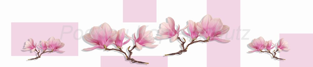 Bild 1 von AvS12229VL9743C Magnolie  / (Material) Hartschaum-Rückwand / (Schutzschicht) UV Hartlack glänzend mit Abperleffekt / (Langzeitgarantie) ohne Langzeitgarantie