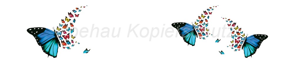 Bild 1 von AvS8491TL3511 Schmetterling blau bunt  / (Material) Hartschaum-Rückwand / (Schutzschicht) kein Schutzlack / (Langzeitgarantie) ohne Langzeitgarantie
