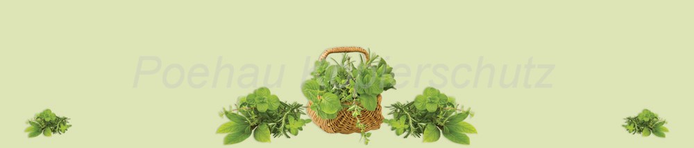 Bild 1 von AvS10005VL2590E Kräuter Korb  / (Material) Hartschaum-Rückwand / (Schutzschicht) kein Schutzlack / (Langzeitgarantie) ohne Langzeitgarantie