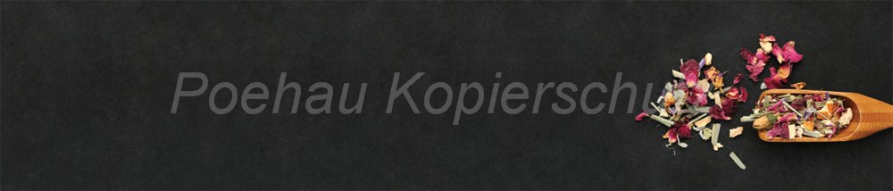 Bild 1 von AvS11330IL2504 Schiefer Gewürze Löffel  / (Material) Hartschaum-Rückwand / (Schutzschicht) kein Schutzlack / (Langzeitgarantie) ohne Langzeitgarantie