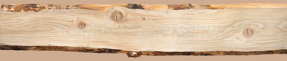 Bild 1 von AvS7621IL4367 Holz Brett Borke  / (Material) Acryl-Rückwand / (Schutzschicht) für Wandverschraubung / (Langzeitgarantie) ohne Langzeitgarantie