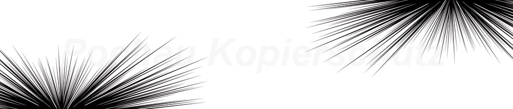 Bild 1 von AvS190722VL0001 Nadeln Nedles schwarz weiß  / (Material) Hartschaum-Rückwand / (Schutzschicht) kein Schutzlack / (Langzeitgarantie) ohne Langzeitgarantie