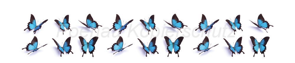 Bild 1 von AvS8439TL6633A Schmetterling blau  / (Material) Hartschaum-Rückwand / (Schutzschicht) UV Hartlack matt / (Langzeitgarantie) ohne Langzeitgarantie