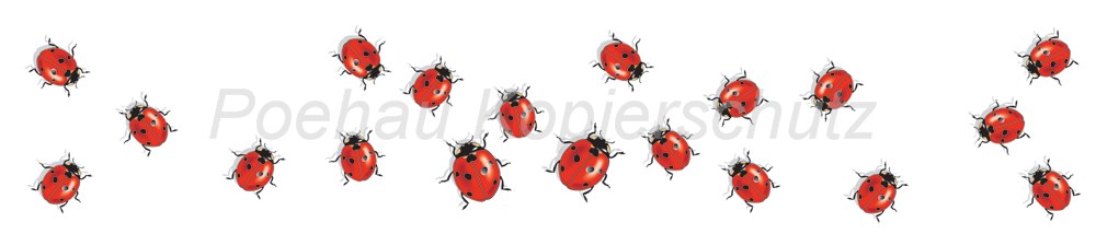 Bild 1 von AvS200820VL0003 Marienkäfer  / (Material) Aluverbund-Rückwand / (Schutzschicht) kein Schutzlack / (Langzeitgarantie) mit Langzeitgarantie* 3 Jahre