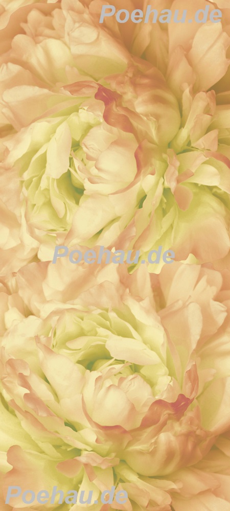 Bild 1 von Bad13677VL5365B Blumen pastell  / (Material) Aluverbund-Rückwand / (Schutzschicht) UV Hartlack glänzend mit Abperleffekt / (Langzeitgarantie) mit Langzeitgarantie* 5 Jahre