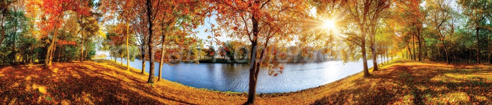 Bild 1 von AvS12798IL7176 Herbst Bäume Fluss  / (Material) Hartschaum-Rückwand / (Schutzschicht) UV Hartlack glänzend / (Langzeitgarantie) ohne Langzeitgarantie