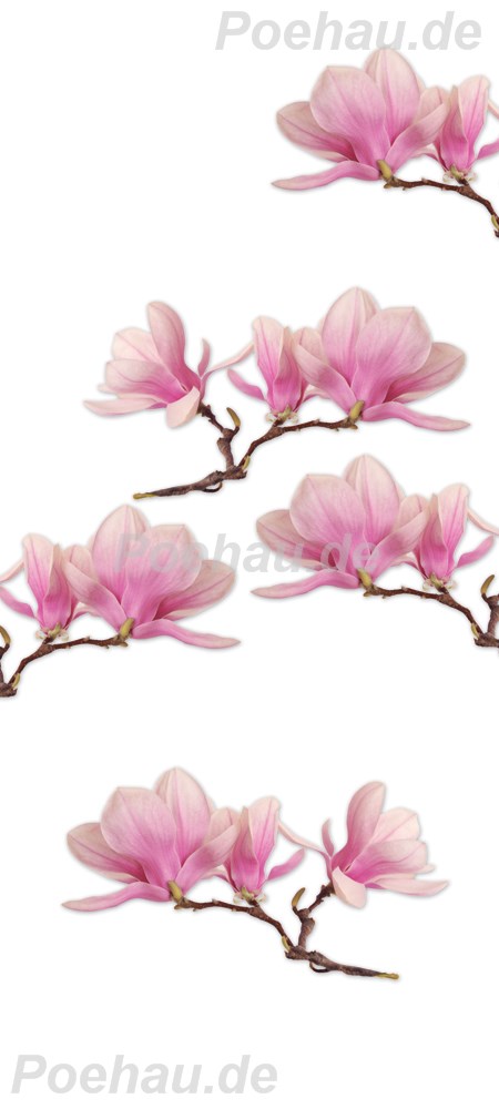 Bild 1 von Bad12229VL9743B Magnolie  / (Material) Hartschaum-Rückwand / (Schutzschicht) UV Hartlack glänzend mit Abperleffekt / (Langzeitgarantie) ohne Langzeitgarantie