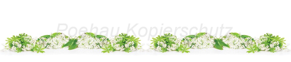 Bild 1 von AvS9766IL0299A Waldmeister  / (Material) Hartschaum-Rückwand / (Schutzschicht) UV Hartlack glänzend mit Abperleffekt / (Langzeitgarantie) ohne Langzeitgarantie