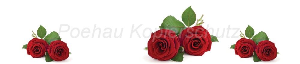 Bild 1 von AvS9965IL3267A rote Rosen  / (Material) Hartschaum-Rückwand / (Schutzschicht) UV Hartlack matt / (Langzeitgarantie) ohne Langzeitgarantie
