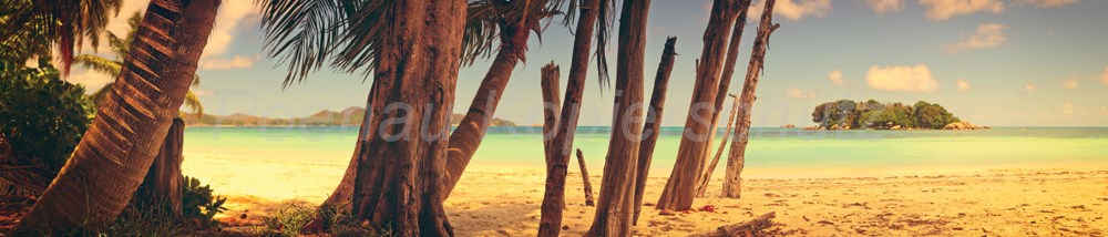 Bild 1 von AvS12061IL6459 Strand Palmen Meer  / (Material) Hartschaum-Rückwand / (Schutzschicht) kein Schutzlack / (Langzeitgarantie) ohne Langzeitgarantie