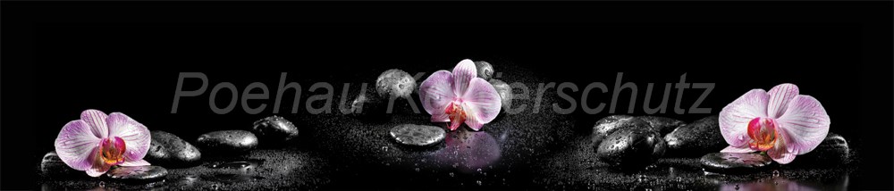 Bild 1 von AvS6062IL9892 Orchideen Steine  / (Material) Hartschaum-Rückwand / (Schutzschicht) UV Hartlack glänzend / (Langzeitgarantie) ohne Langzeitgarantie