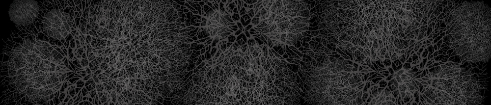 Bild 1 von AvS210729VL0001 Geflecht  / (Material) Aluverbund-Rückwand / (Schutzschicht) UV Hartlack glänzend mit Abperleffekt / (Langzeitgarantie) ohne Langzeitgarantie