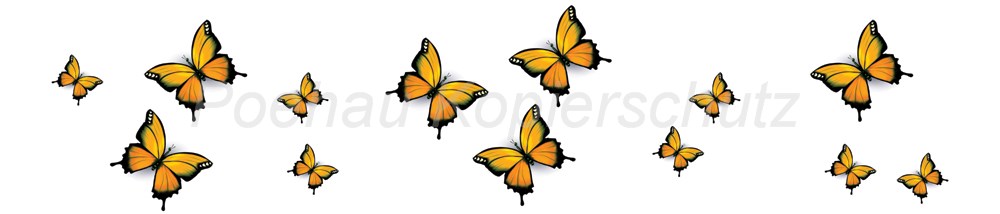 Bild 1 von AvS11590TL6558H Schmetterling gelb orange schwarz