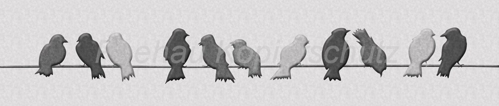 Bild 1 von AvS200824VL0002cmyk Vogel Vögel  / (Material) Hartschaum-Rückwand / (Schutzschicht) kein Schutzlack / (Langzeitgarantie) mit Langzeitgarantie* 3 Jahre