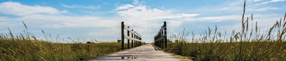 Bild 1 von AvS12029IL0171 Brücke Düne Gras  / (Material) Hartschaum-Rückwand / (Schutzschicht) UV Hartlack glänzend / (Langzeitgarantie) ohne Langzeitgarantie