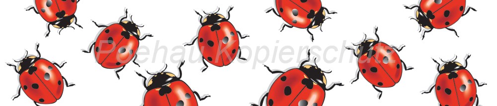 Bild 1 von AvS200820VL0001 Marienkäfer  / (Material) Aluverbund-Rückwand / (Schutzschicht) kein Schutzlack / (Langzeitgarantie) mit Langzeitgarantie* 3 Jahre