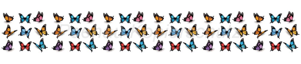 Bild 1 von AvS10314TL0567 Schmetterlinge bunt  / (Material) Hartschaum-Rückwand / (Schutzschicht) UV Hartlack glänzend / (Langzeitgarantie) ohne Langzeitgarantie