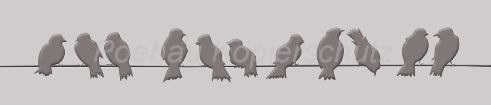 Bild 1 von AvS200824VL0001cmyk Vogel Vögel  / (Material) Hartschaum-Rückwand / (Schutzschicht) UV Hartlack glänzend / (Langzeitgarantie) ohne Langzeitgarantie