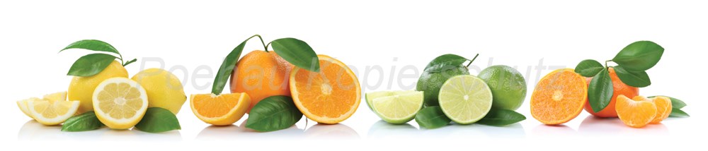 Bild 1 von AvS10680IL5211B Limetten Orangen Zitrusfrüchte  / (Material) Aluverbund-Rückwand / (Schutzschicht) kein Schutzlack / (Langzeitgarantie) ohne Langzeitgarantie