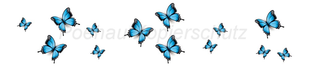 Bild 1 von AvS11590TL6558B Schmetterling blau schwarz