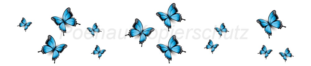 Bild 1 von AvS11590TL6558B Schmetterling blau schwarz  / (Material) Hartschaum-Rückwand / (Schutzschicht) UV Hartlack matt / (Langzeitgarantie) ohne Langzeitgarantie