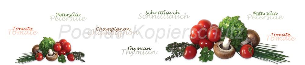 Bild 1 von AvS200610VL0002 Schnittlauch Thymian Pilze Tomate  / (Material) Acryl-Rückwand / (Schutzschicht) für Wandverschraubung / (Langzeitgarantie) ohne Langzeitgarantie
