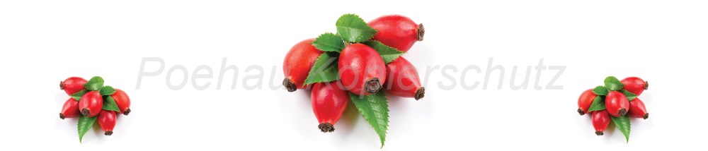 Bild 1 von AvS9906IL5032B Hagebutte rot  / (Material) Hartschaum-Rückwand / (Schutzschicht) kein Schutzlack / (Langzeitgarantie) mit Langzeitgarantie* 3 Jahre