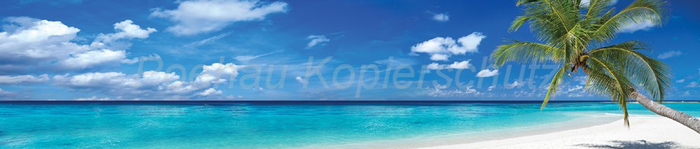 Bild 1 von AvS15828IL3371 Südsee Strand Palme  / (Material) Hartschaum-Rückwand / (Schutzschicht) kein Schutzlack / (Langzeitgarantie) ohne Langzeitgarantie