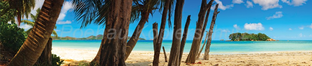 Bild 1 von AvS10505IL0062 Strand Palmen  / (Material) Hartschaum-Rückwand / (Schutzschicht) kein Schutzlack / (Langzeitgarantie) mit Langzeitgarantie* 3 Jahre