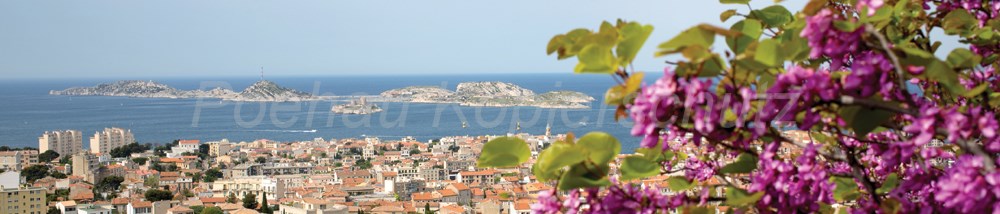 Bild 1 von AvS15260IL4113 Mittelmeer Flieder  / (Material) Hartschaum-Rückwand / (Schutzschicht) UV Hartlack glänzend mit Abperleffekt / (Langzeitgarantie) mit Langzeitgarantie* 5Jahre