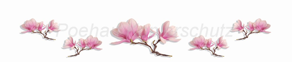Bild 1 von AvS12229VL9743A Magnolie  / (Material) Hartschaum-Rückwand / (Schutzschicht) UV Hartlack glänzend mit Abperleffekt / (Langzeitgarantie) ohne Langzeitgarantie