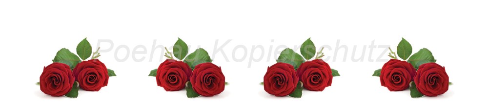 Bild 1 von AvS9965IL3267B rote Rosen  / (Material) Hartschaum-Rückwand / (Schutzschicht) UV Hartlack matt / (Langzeitgarantie) ohne Langzeitgarantie