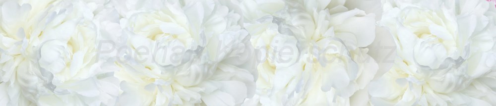 Bild 1 von AvS13677IL5365 Blumen pastell  / (Material) Hartschaum-Rückwand / (Schutzschicht) UV Hartlack matt / (Langzeitgarantie) ohne Langzeitgarantie
