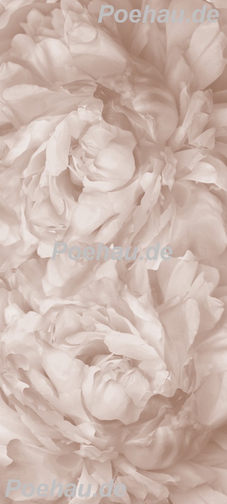 Bild 1 von Bad13677VL5365C Blumen pastell  / (Material) Acryl-Rückwand / (Schutzschicht) für Wandverschraubung / (Langzeitgarantie) ohne Langzeitgarantie