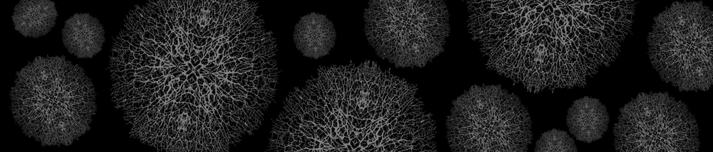 Bild 1 von AvS210729VL0005 Geflecht  / (Material) Aluverbund-Rückwand / (Schutzschicht) UV Hartlack matt / (Langzeitgarantie) mit Langzeitgarantie* 5 Jahre
