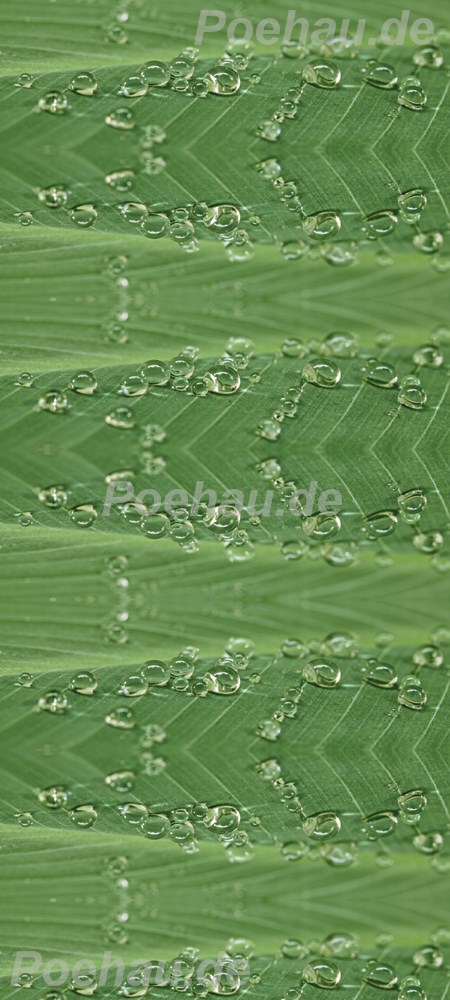 Bild 1 von Bad11601IL1225 Blatt Tropfen  / (Material) Acryl-Rückwand / (Schutzschicht) für Wandverklebung / (Langzeitgarantie) ohne Langzeitgarantie*