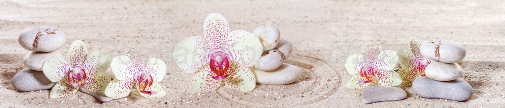 Bild 1 von AvS6875IL5304 Orchideen Sand Steine  / (Material) Hartschaum-Rückwand / (Schutzschicht) kein Schutzlack / (Langzeitgarantie) ohne Langzeitgarantie